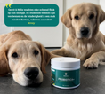 Afbeelding geladen in Galerij-viewer, Probiotica voor honden