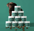 Afbeelding geladen in Galerij-viewer, Probiotica anti-jeuk voor honden