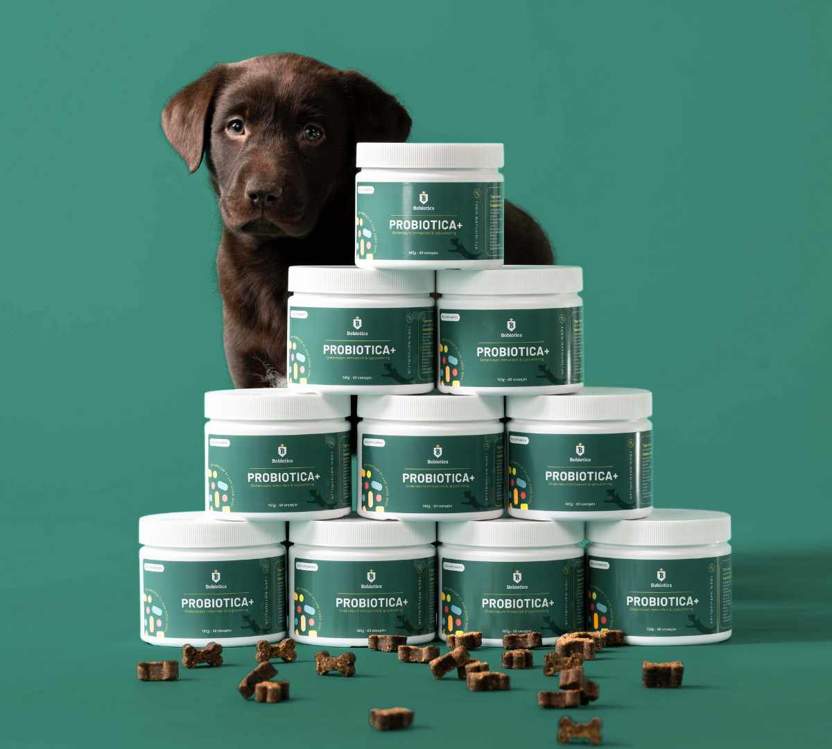 Probiotica anti-jeuk voor honden