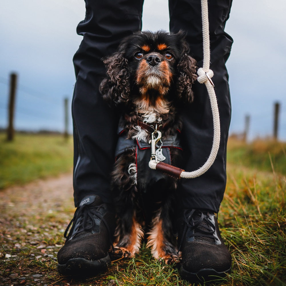 Hondenriem Verstelbaar Touw Ecru