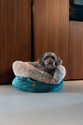 Afbeelding geladen in Galerij-viewer, POOCH POUCH Limited Edition hondenmand