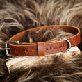Afbeelding geladen in Galerij-viewer, No Fuss Halsband Hond Leer Bruin - Cooper & Quint