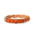 Afbeelding geladen in Galerij-viewer, Twisted Camel braided leather dog collar with metal buckle and D-ring, handcrafted from Italian vegetable-tanned leather.