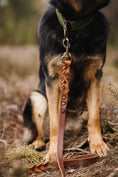 Afbeelding geladen in Galerij-viewer, Twisted Hondenriem Bruin - Cooper & Quint