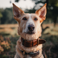 Afbeelding geladen in Galerij-viewer, Brede Leren Halsband | Bold Bruin - Cooper & Quint
