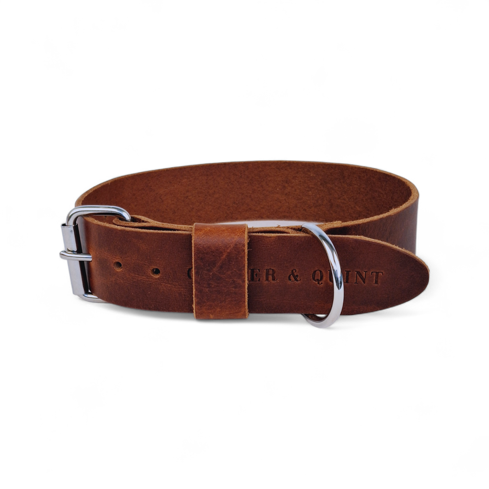 Wide brown leather dog collar with metal buckle and D-ring, made from high-quality Italian vegetable-tanned leather.