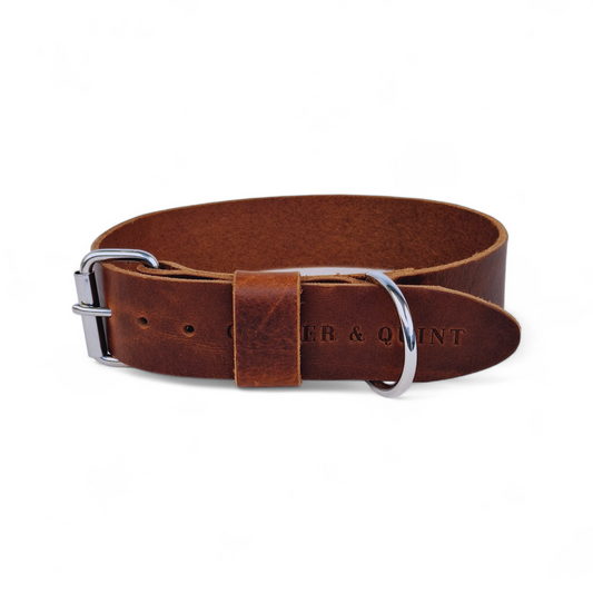 Wide brown leather dog collar with metal buckle and D-ring, made from high-quality Italian vegetable-tanned leather.