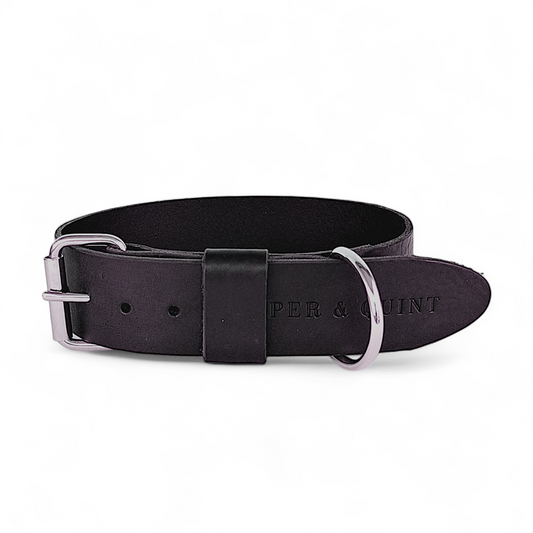 Wide black leather dog collar with sturdy metal buckle and D-ring, durable and stylish.