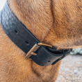Afbeelding geladen in Galerij-viewer, Brede Leren Halsband | Bold Zwart - Cooper & Quint