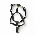 Afbeelding geladen in Galerij-viewer, Dark green hemp dog harness Hondentuig Simply Hemp with metal fittings and adjustable straps