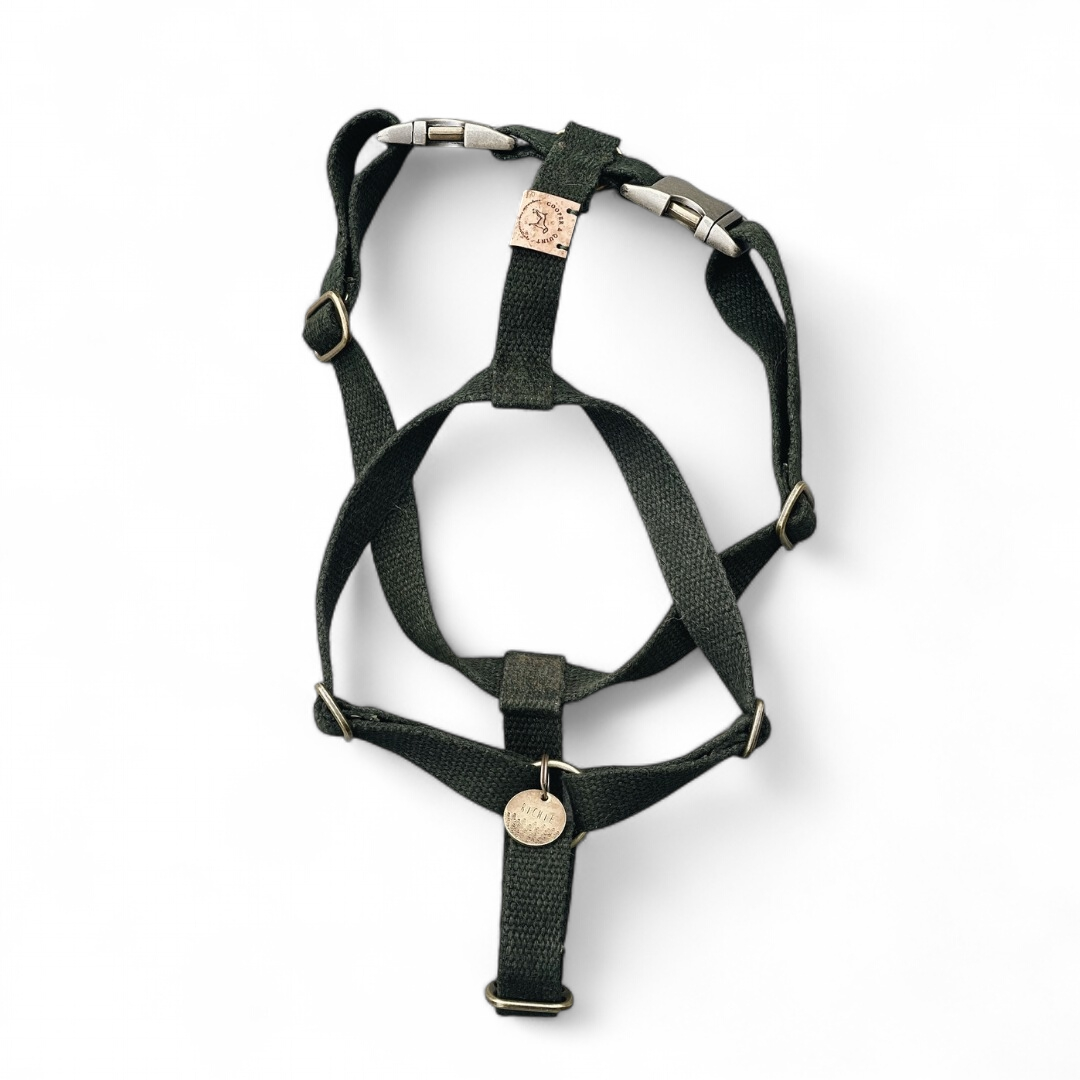 Dark green hemp dog harness Hondentuig Simply Hemp with metal fittings and adjustable straps
