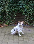 Afbeelding geladen in Galerij-viewer, Tadazhi regenjas Beige