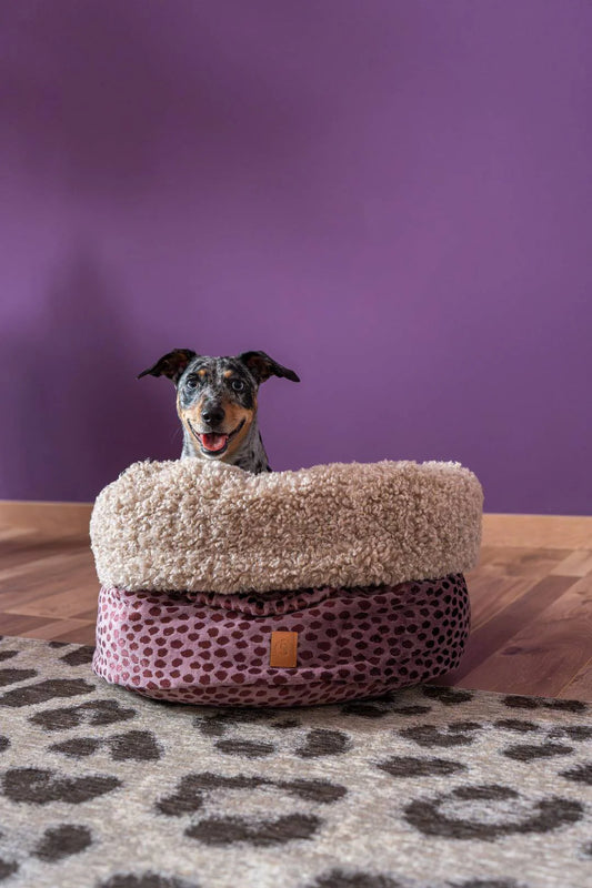 POOCH POUCH Limited Edition hondenmand