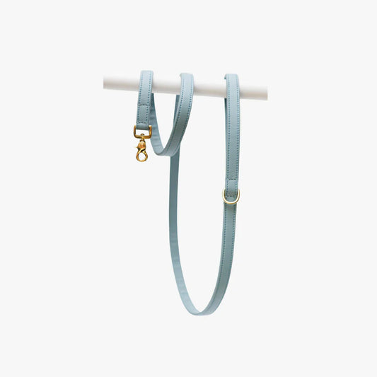 Light blue luxury leather dog leash with gold hardware on white background.