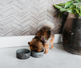 Afbeelding geladen in Galerij-viewer, Hondenvoerbak Blue Bali
 Op zoek naar een stijlvolle hondenvoerbak die past bij je interieur of tuin? De Blue Bali hondenvoerbak exclusief ontworpen met het mooie gestempelde logo van DOGDogawafwafHondenvoerbak Blue Bali