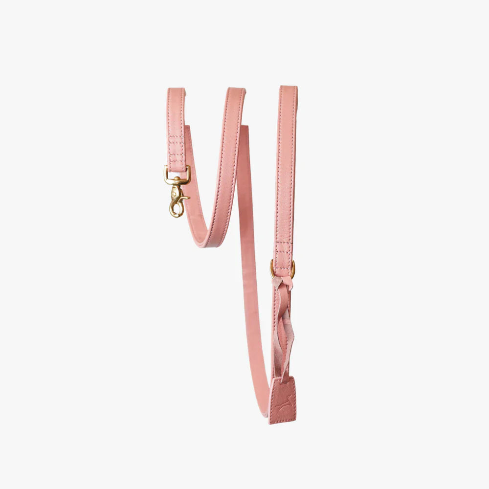Pink luxury leather dog leash with gold hardware, stylish and durable for fashionable walks.