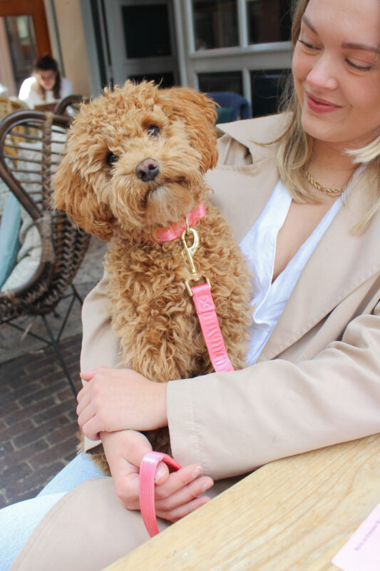 Hondenhalsband Roze satijn