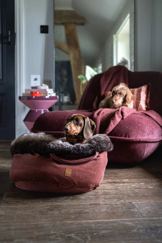 POOCH POUCH linnen look Hondenmand