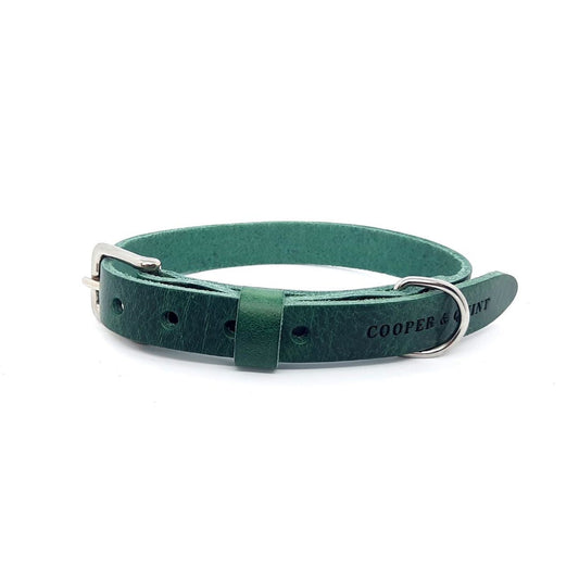 Green No Fuss dog collar made from 100% vegetable-tanned Italian leather with silver hardware.