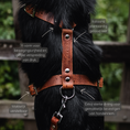 Afbeelding geladen in Galerij-viewer, Brown leather Y-Tuig No Fuss dog harness on black dog showing adjustable straps and strong D-ring made from plant-tanned leather for comfort and pressure distribution