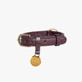 Afbeelding geladen in Galerij-viewer, Donkerbruine Hondenhalsband Croco van echt leer met croco structuur en messing details, stijlvol en comfortabel voor honden.