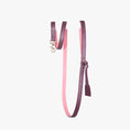Afbeelding geladen in Galerij-viewer, Twee-kleurige hondenriem van bordeauxrood luxe leer met messing details