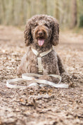 Afbeelding geladen in Galerij-viewer, Hennep hondenriem Simply Hemp Schelpenwit voor milieuvriendelijk hondenbezit.