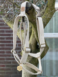 Afbeelding geladen in Galerij-viewer, Hemp dog harness in shell white on tree background, eco-friendly and vegan.