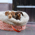 Afbeelding geladen in Galerij-viewer, POOCH POUCH Summer Ibiza ronde hondenmand