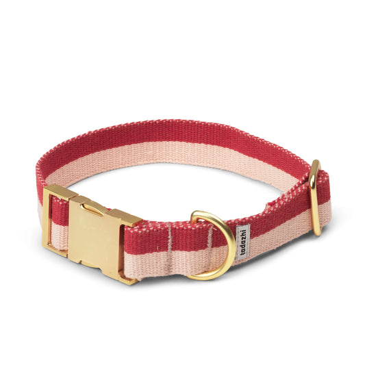 Puppy halsband Rood/Roze