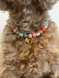 Afbeelding geladen in Galerij-viewer, Anti-tekenband Regenboog
Deze anti-tekenband ziet er niet alleen uit als een anti-tekenband voor een hond, maar het is ook een sieraad voor de hond. Kies je eigen bedel om jouw hond in een studio proudwafwafAnti-tekenband Regenboog