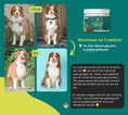Afbeelding geladen in Galerij-viewer, Probiotica anti-jeuk