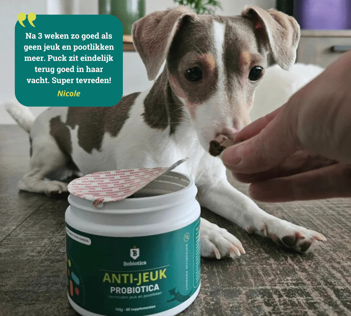 Probiotica anti-jeuk