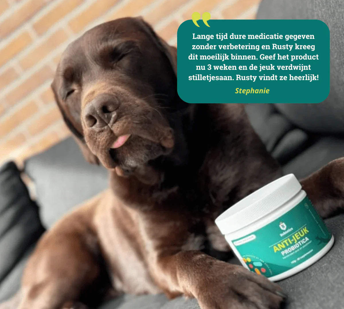 Probiotica anti-jeuk