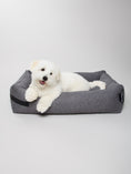 Afbeelding geladen in Galerij-viewer, Hondenmand Hygge Antraciet met memory foam matras en luxe polyester bekleding, geschikt voor kleine tot middelgrote honden.