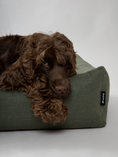 Afbeelding geladen in Galerij-viewer, Hondenmand Hygge Mosgroen  ♻️ECO COLLECTIe♻️
