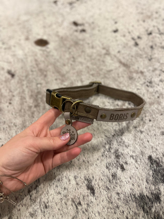 Leather click dog collar with personalized name tag and bronze fittings