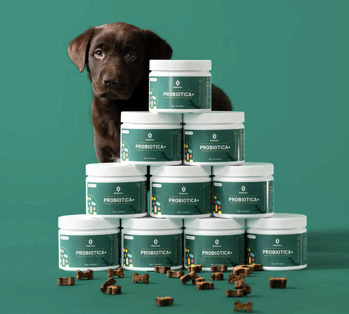 Probiotica voor honden: dé boost voor de darmgezondheid van je viervoeter