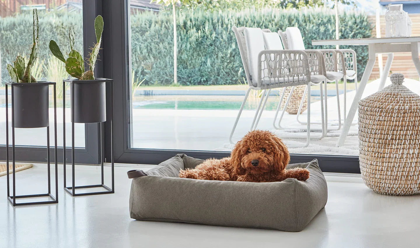 Welke maat hondenmand heeft mijn hond nodig? Grote en kleine hondenmanden
