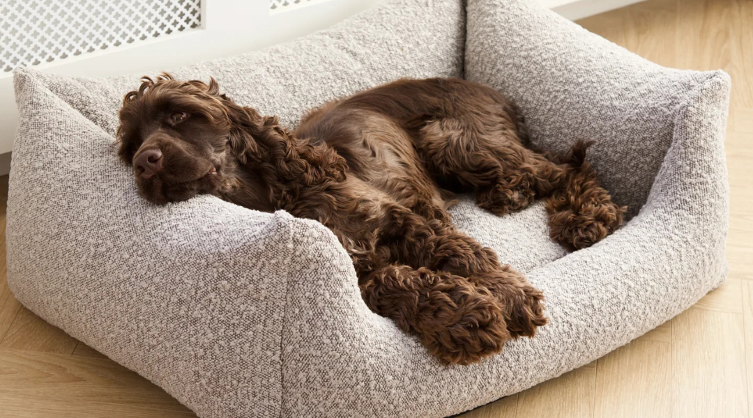 Checklist voor de Komst van je Puppy