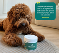 Afbeelding geladen in Galerij-viewer, Probiotica voor honden
