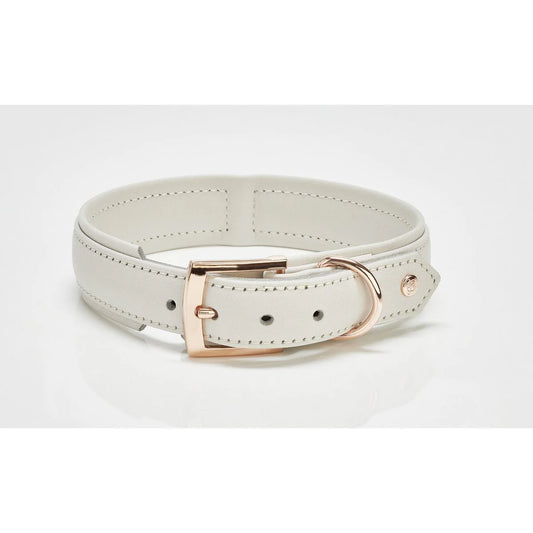 Hondenhalsband Licht grijs