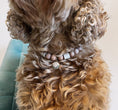 Afbeelding geladen in Galerij-viewer, Anti-tekenband Collioure
Deze anti-tekenband ziet er niet alleen uit als een anti-tekenband voor een hond, maar het is ook een sieraad voor de hond. Met deze leuke nude combikralen en een tstudio proudwafwafAnti-tekenband Collioure
