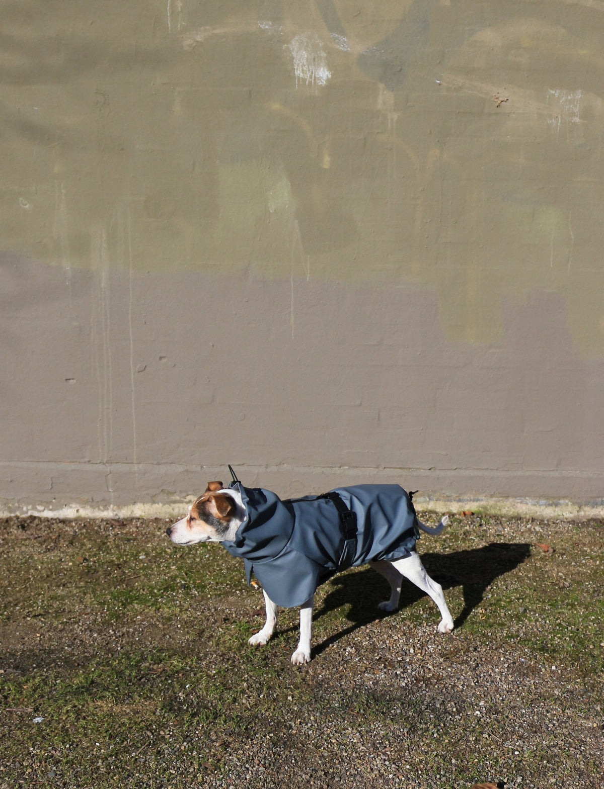 Tadazhi regenjas Nordic Blue