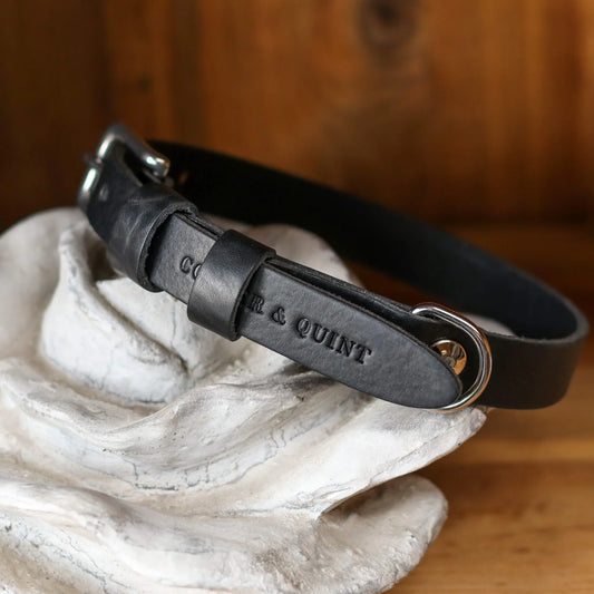 Hondenhalsband Double Trouble Zwart