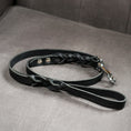 Afbeelding geladen in Galerij-viewer, Twisted Hondenriem Zwart - Cooper & Quint
