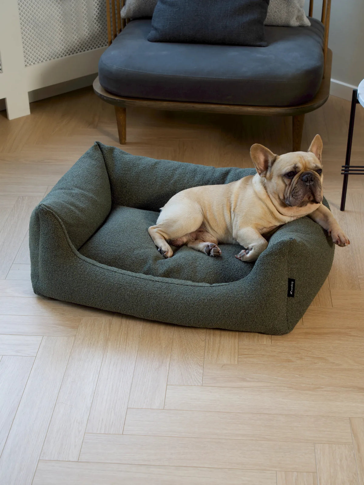 BILLY Bouclé hondenmand Moss lifestylefoto