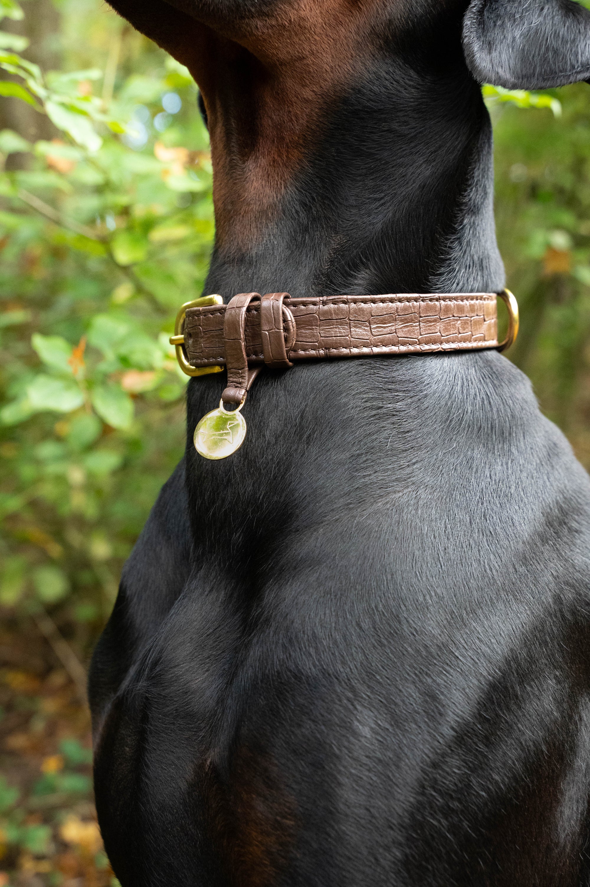 Hondenhalsband Croco echt leer