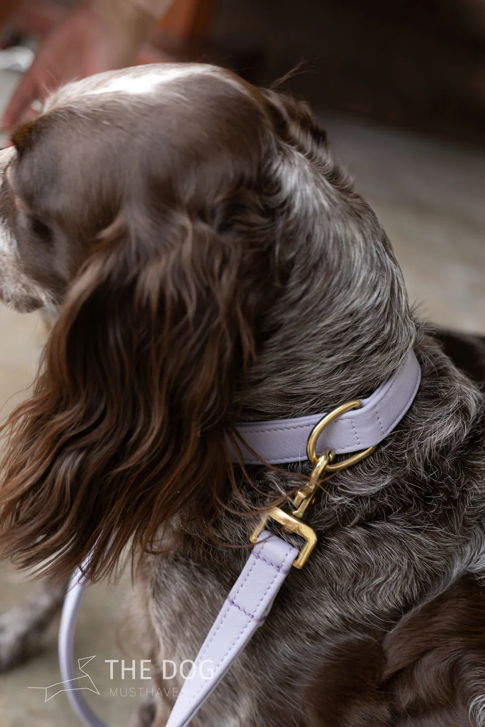 Hondenhalsband Lila
