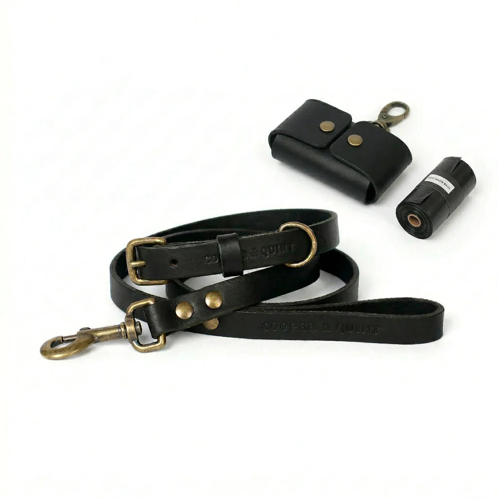 The Everyday Set